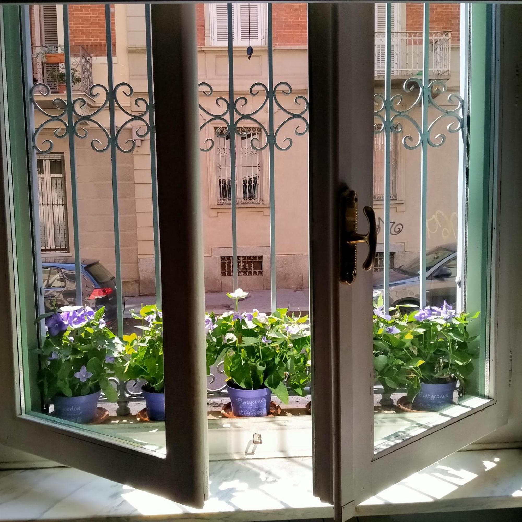 La Graziosa Torino, Porta Susa Kültér fotó
